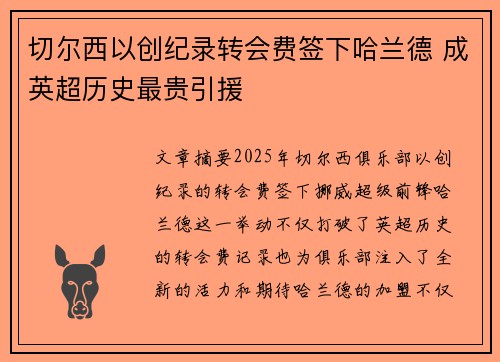 切尔西以创纪录转会费签下哈兰德 成英超历史最贵引援